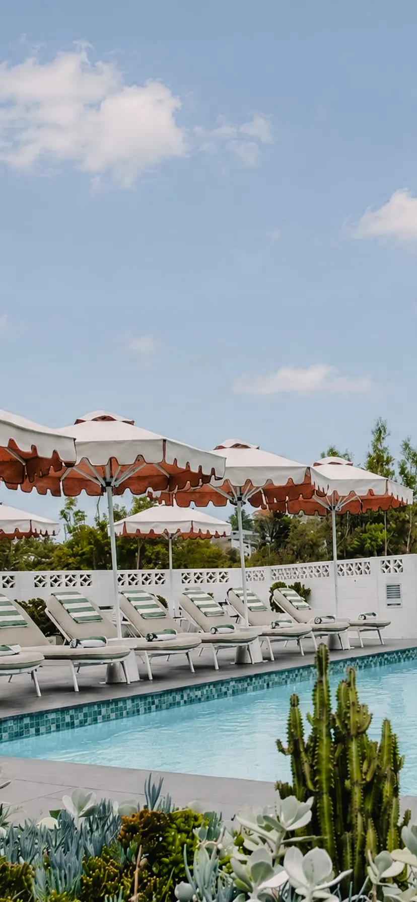 The pool at South House Hotel, loungers under scalloped umbrellas, a cactus in the foreground